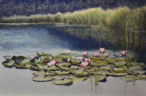Floral pastel painting of pond lilies by Lorraine Roberts