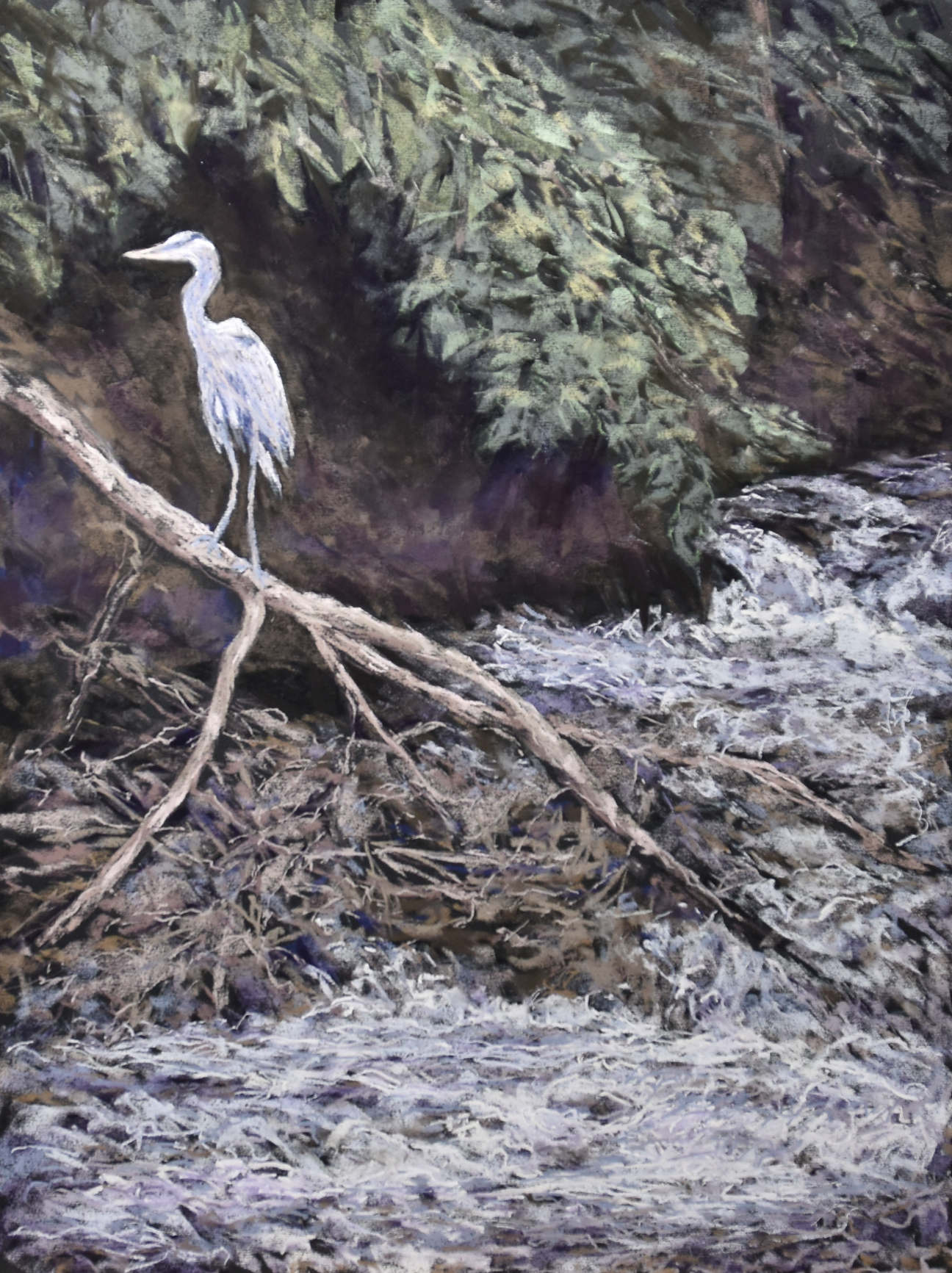 painting of a Great Blue Heron Bird in a River