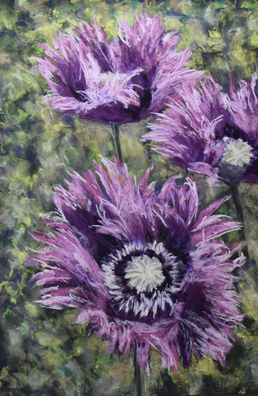 Poppy painting by Lorraine Roberts